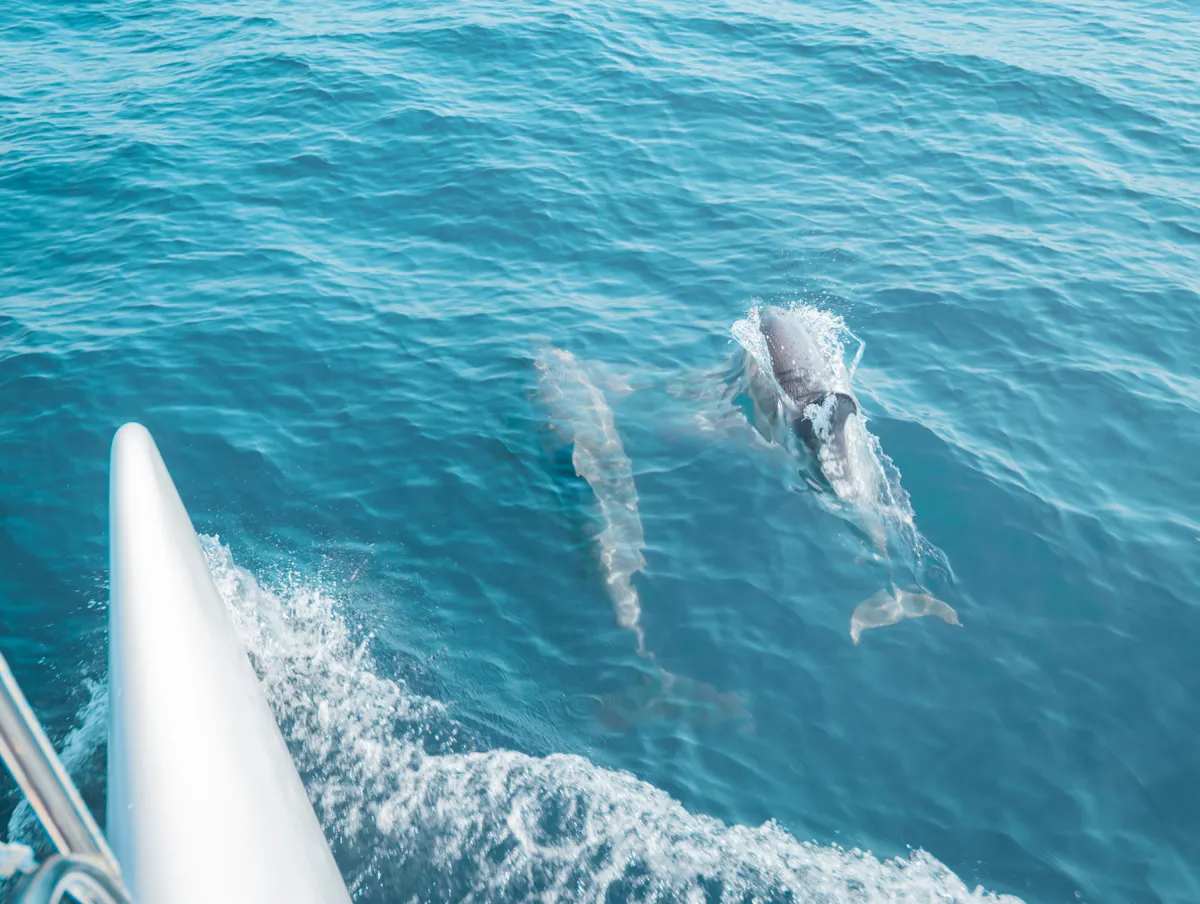 Family catamaran cruise with kids' captain experience from Nessebar