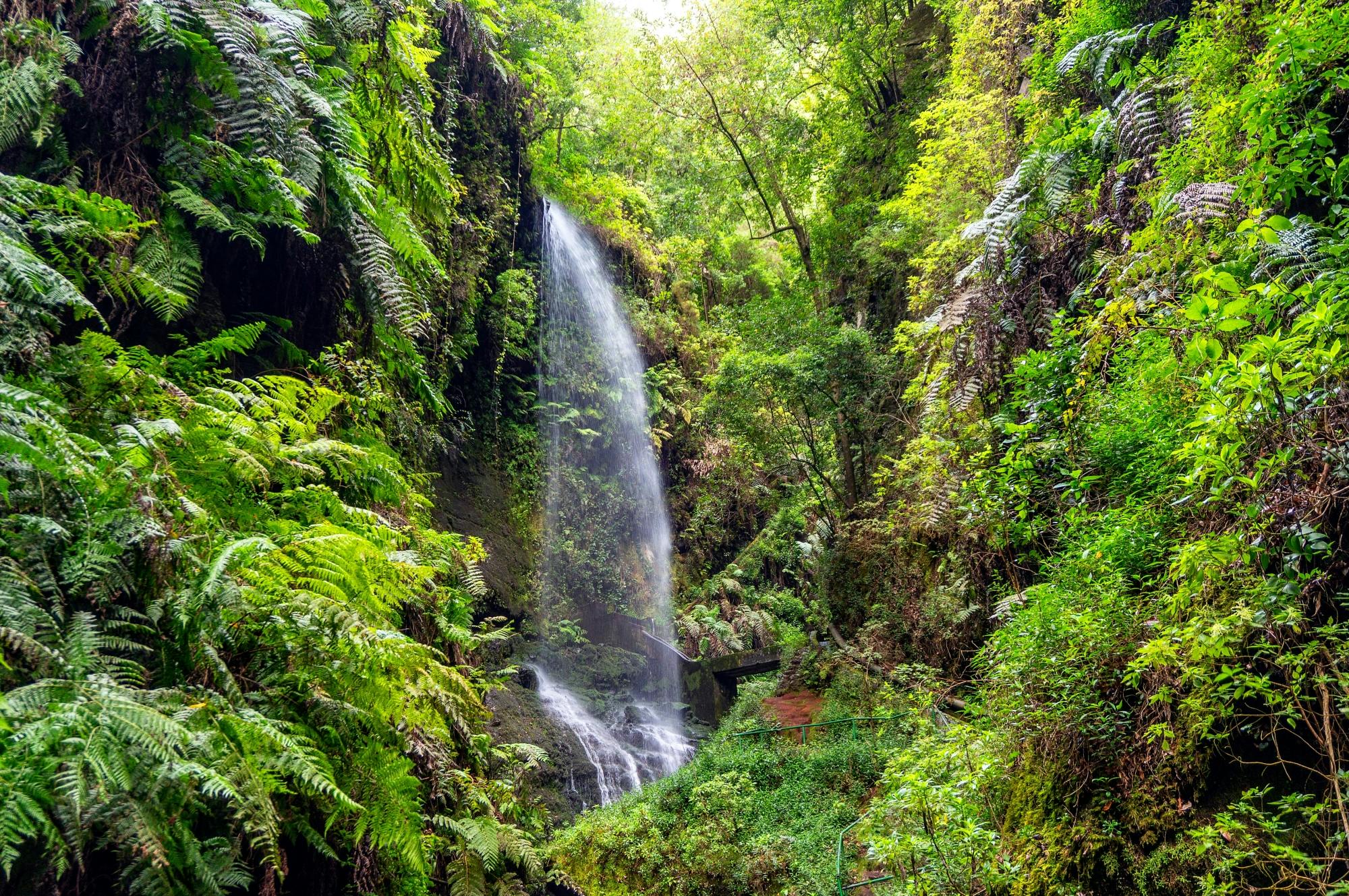 Northeast La Palma tour with Charco Azul and rum tasting