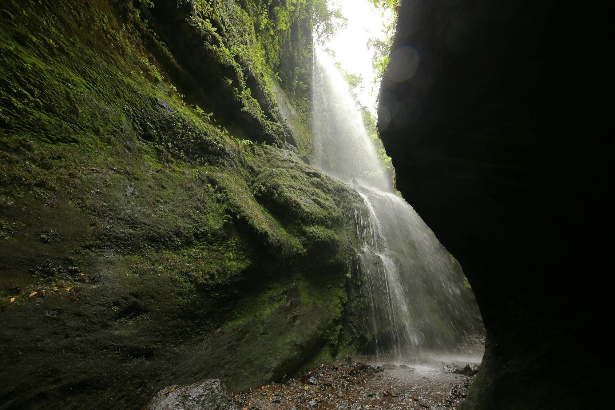 Northeast La Palma tour with Charco Azul and rum tasting