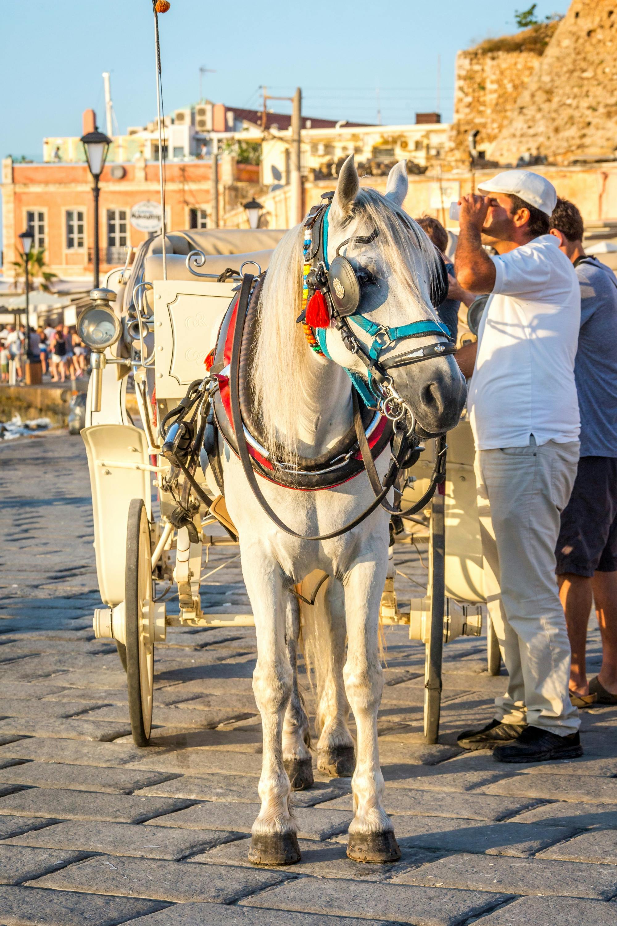 Chania Highlights, Agia Triada Monastery and Stavros Beach tour