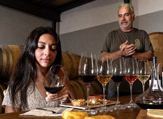 Half-day winery tour with wine tasting and tapas