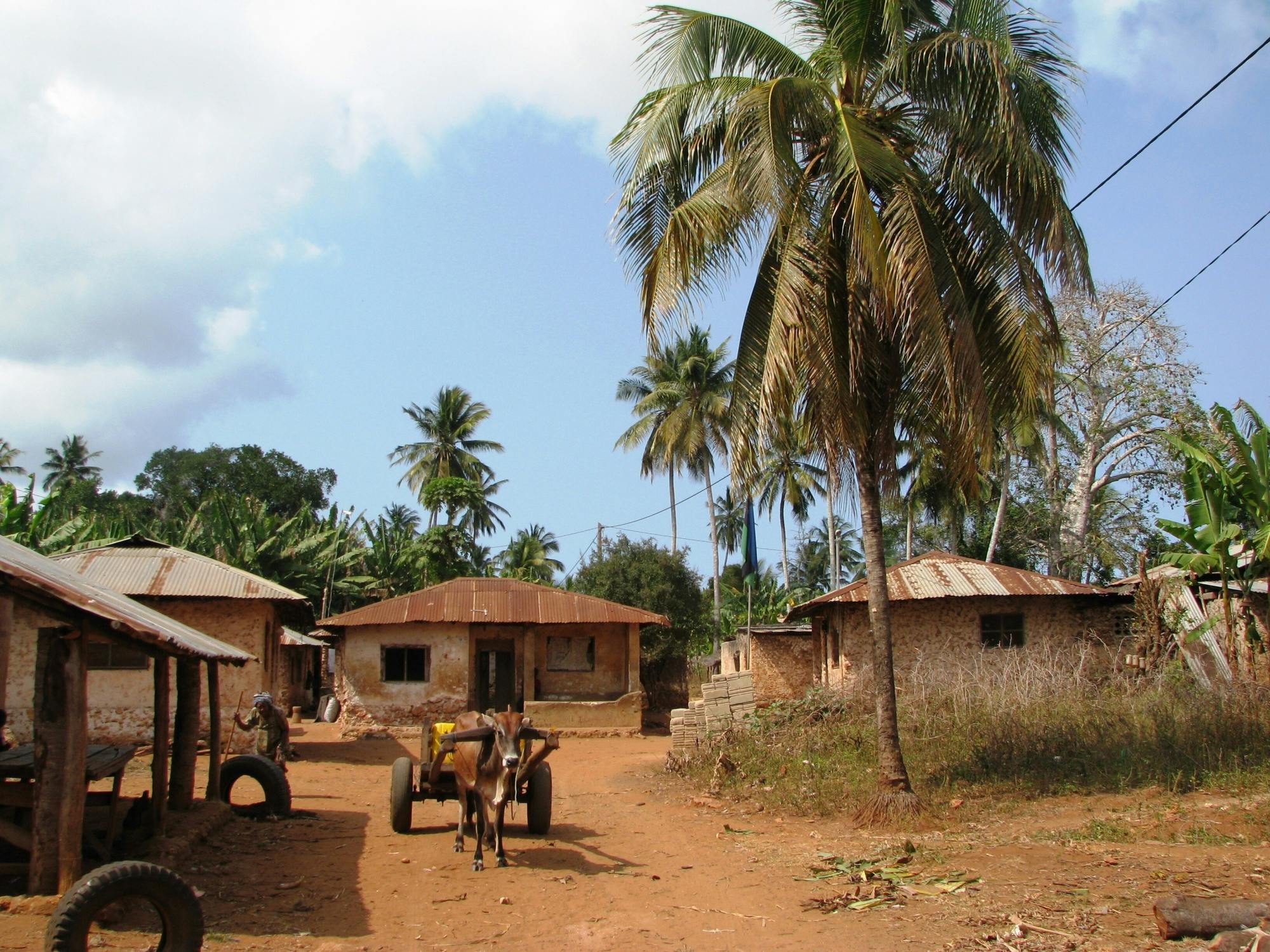Zanzibar Uzi Island and Jozani Forest private tour