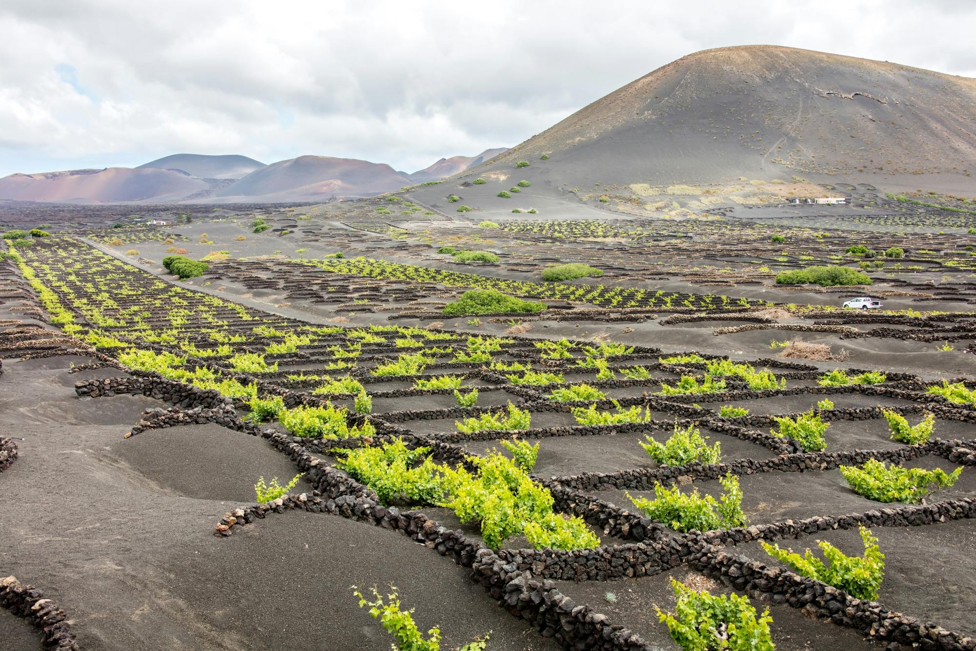 Lanzarote vulkan-rundtur
