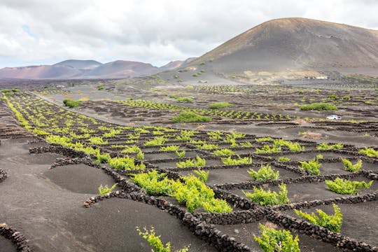 Lanzarote Vulkan-Tour