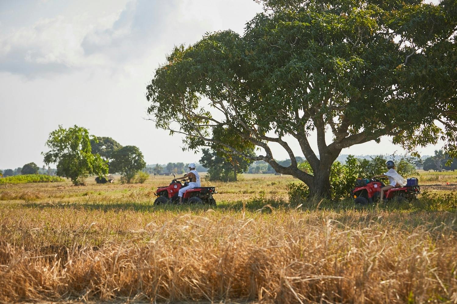 Quadtocht op Zanzibar