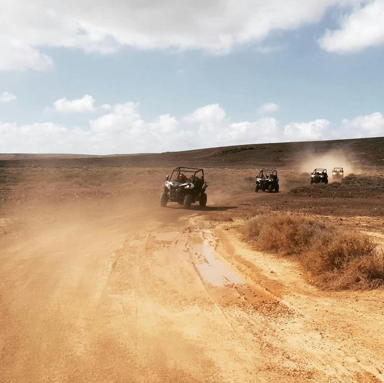 Noord-Lanzarote buggytocht met transfers