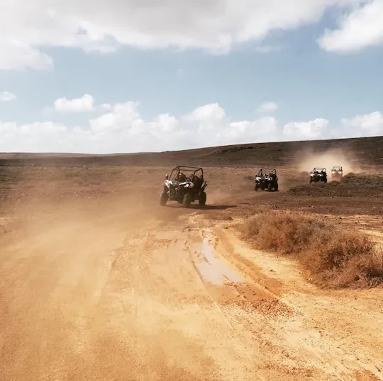 Circuit en buggy dans le nord de Lanzarote, transferts compris