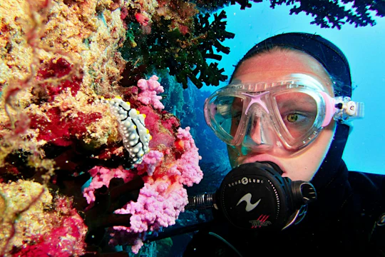 Red Sea diving experiences in Hurghada with transfer