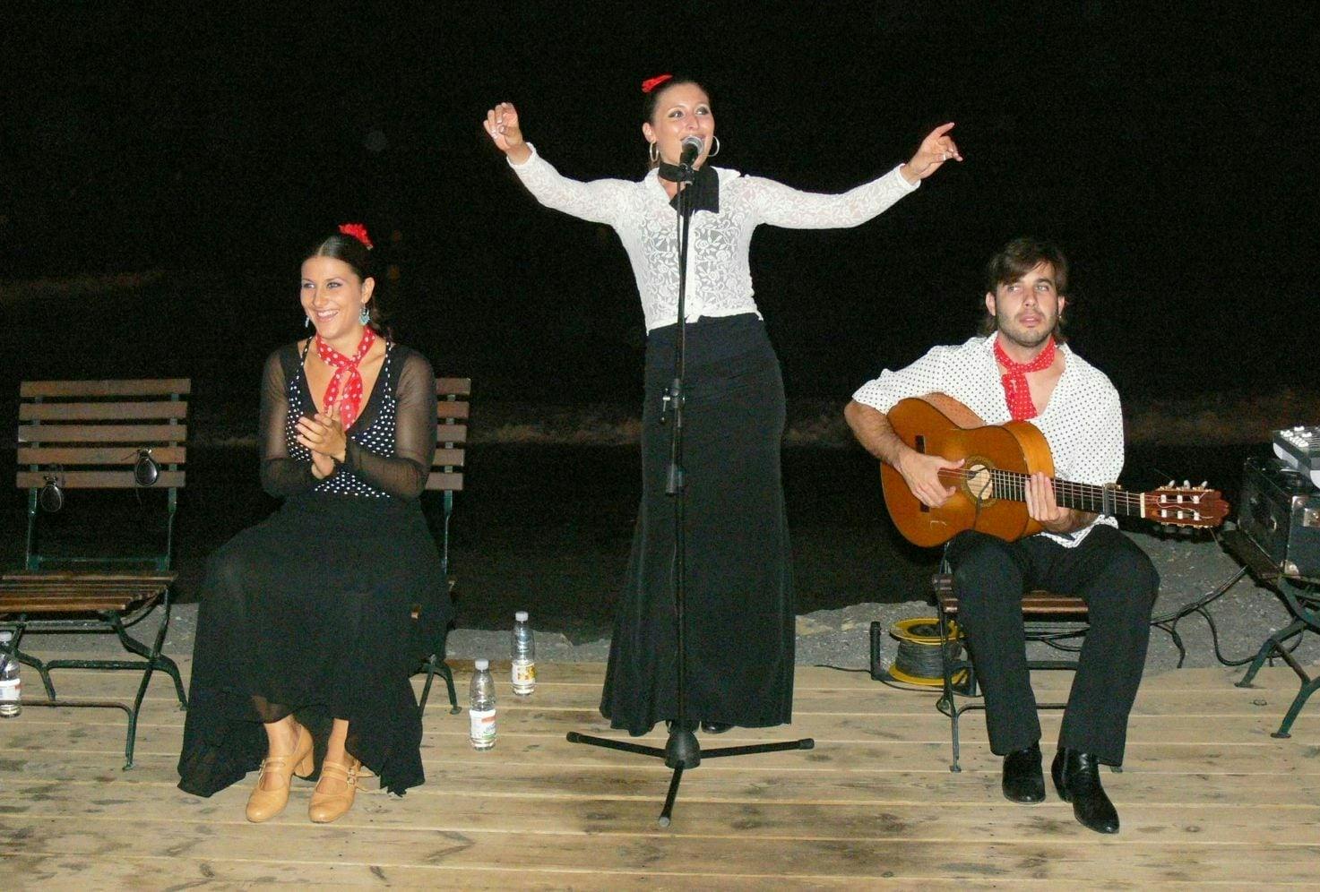 Flamenco sunset show and barbecue dinner in Marbella