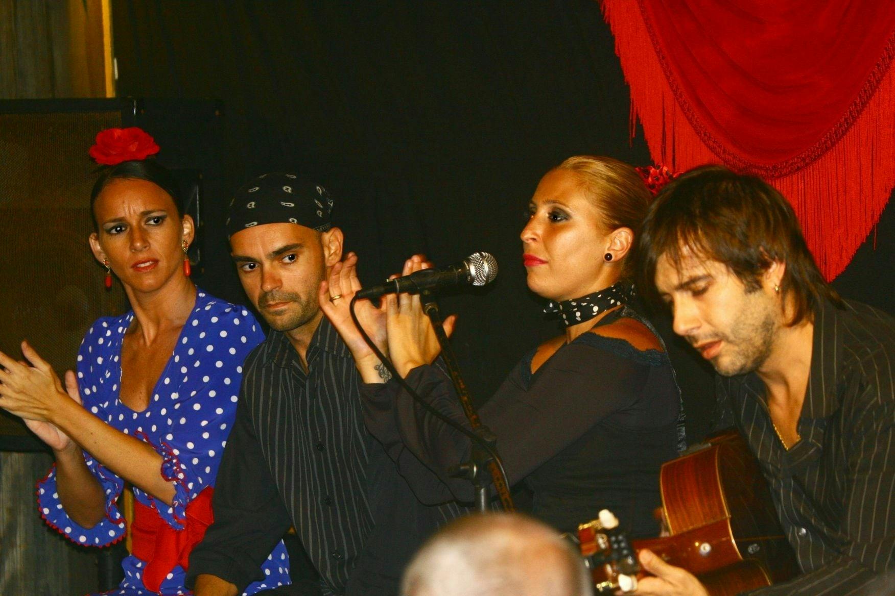 Flamenco sunset show and barbecue dinner in Marbella