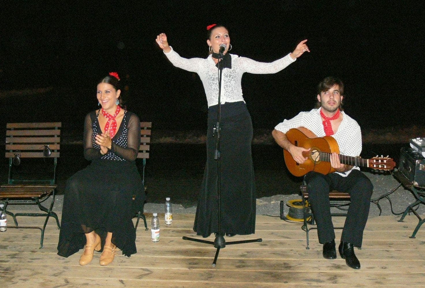 Flamenco sunset show and barbecue dinner in Marbella