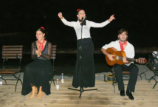 Flamenco sunset show and barbecue dinner in Marbella