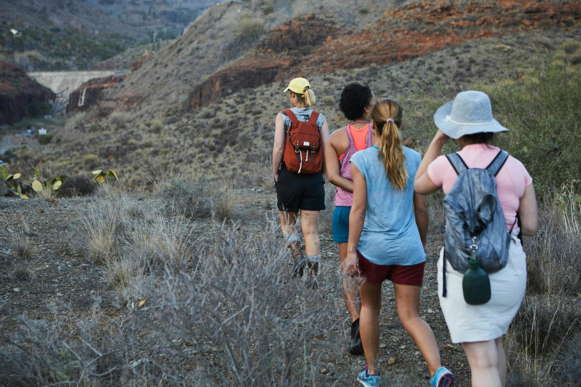 Full-day Imbros Gorge hike and Frangokastello Beach visit
