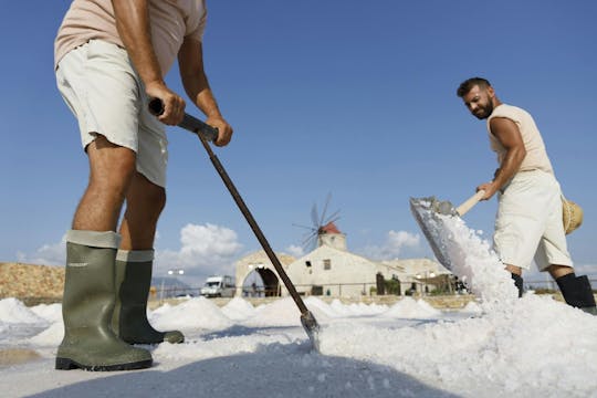 Esperienza guidata di raccolta del sale in una salina tradizionale