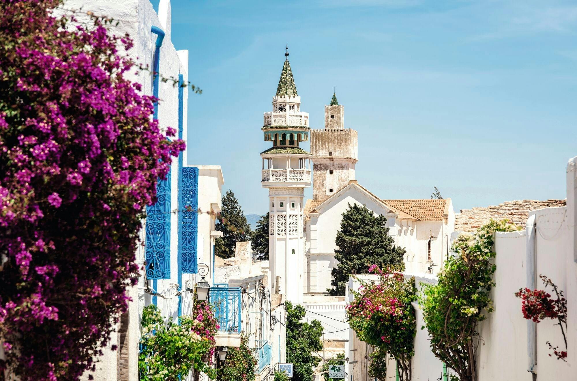 Guided tour of Tunisian Atlas Mountain villages from Hammamet