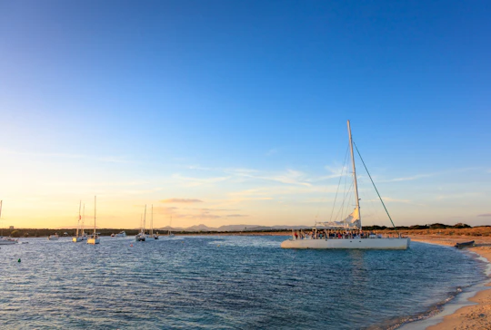 Catamaran Ibiza Sunset