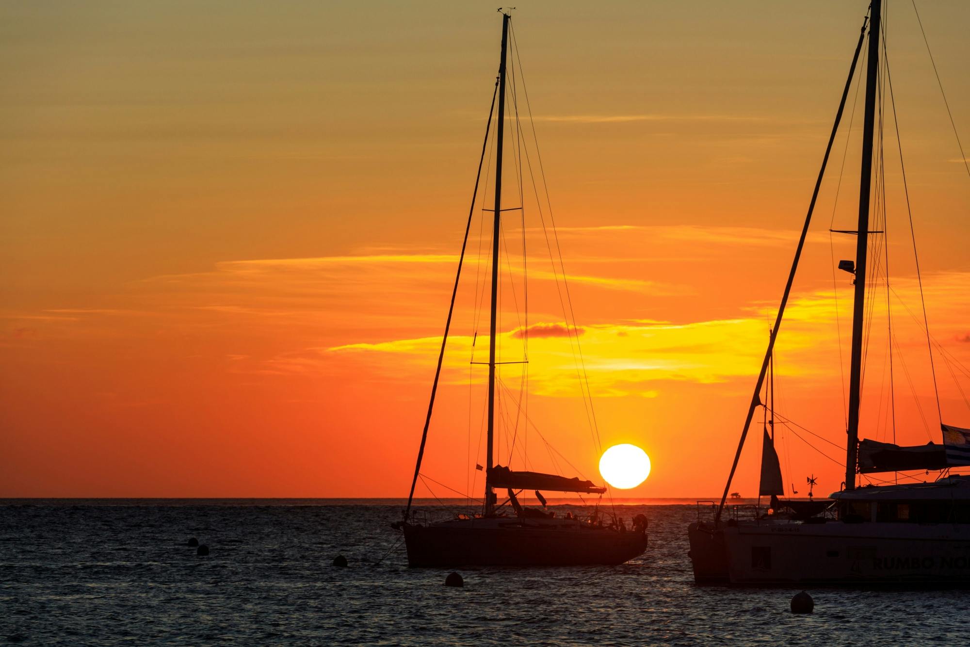 Catamaran Ibiza Sunset