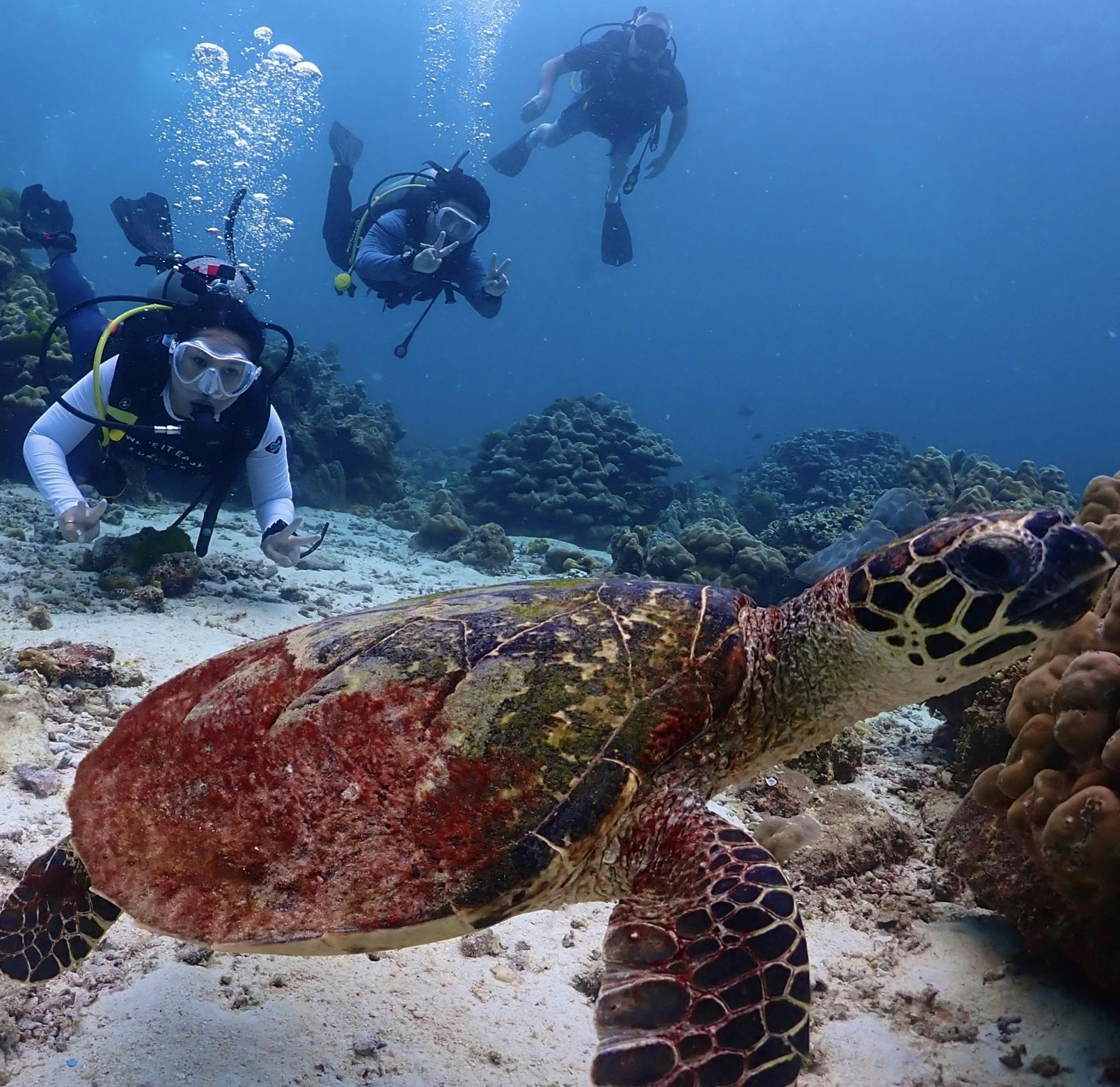 Racha Islands scuba diving trip with up to 3 dives at for all levels