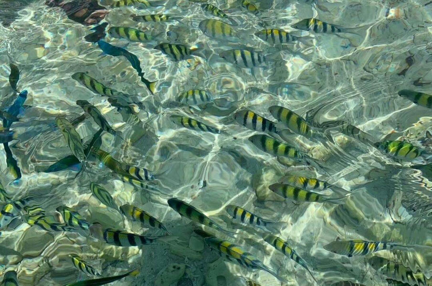 202608256a8d27b02bf41.jpg