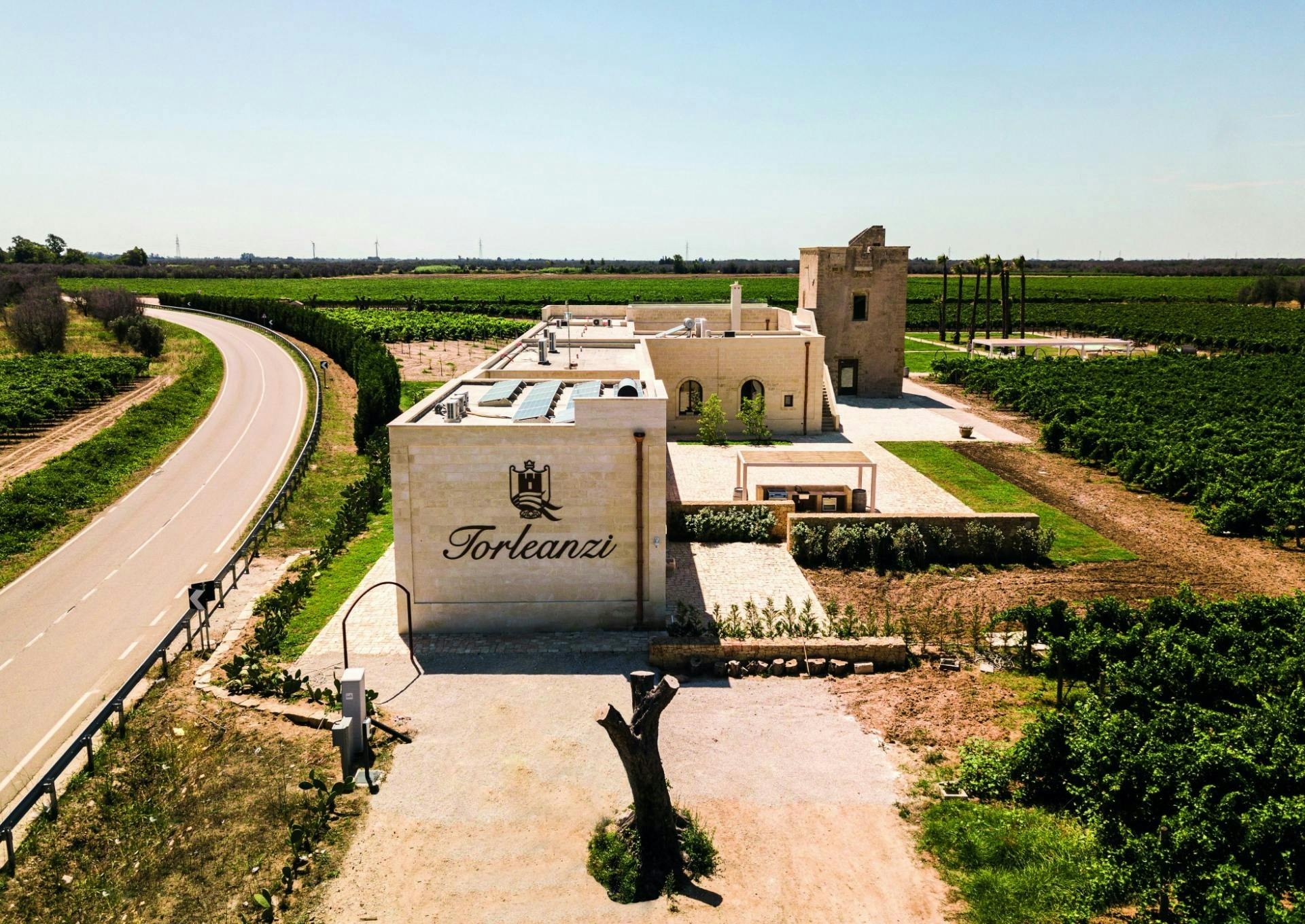 Guided tasting of six wines with a sommelier at Masseria Torleanzi