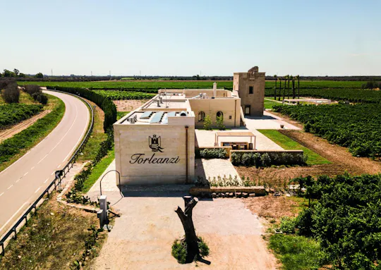 Guided tasting of six wines with a sommelier at Masseria Torleanzi