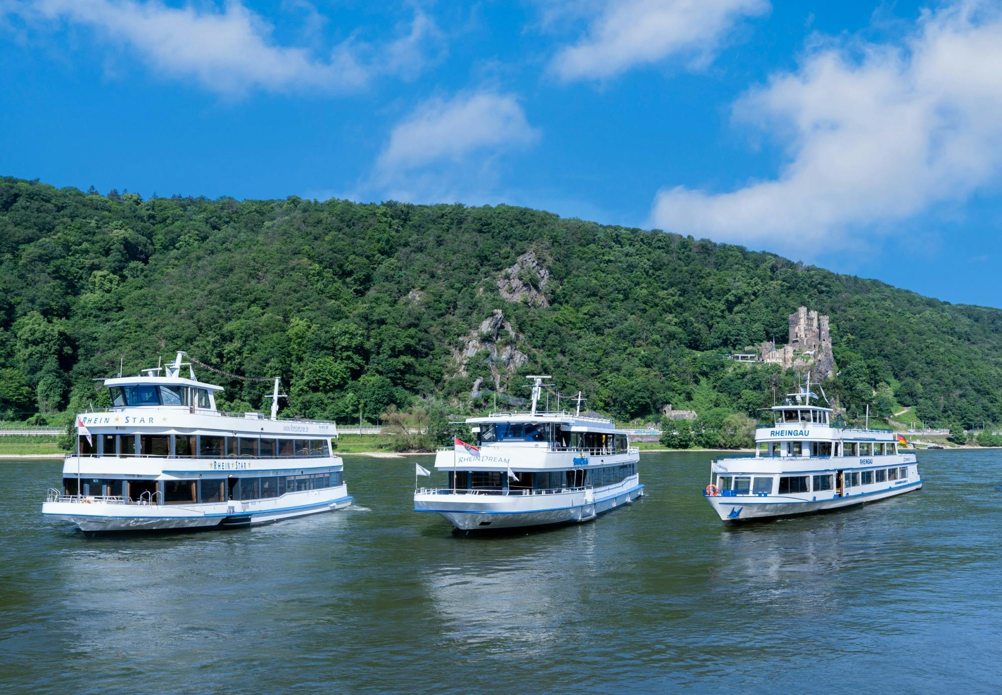 Billete para crucero por los castillos del Rin desde Rüdesheim
