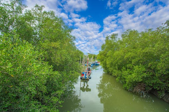 Can Gio mangrove forest eco tour with lunch