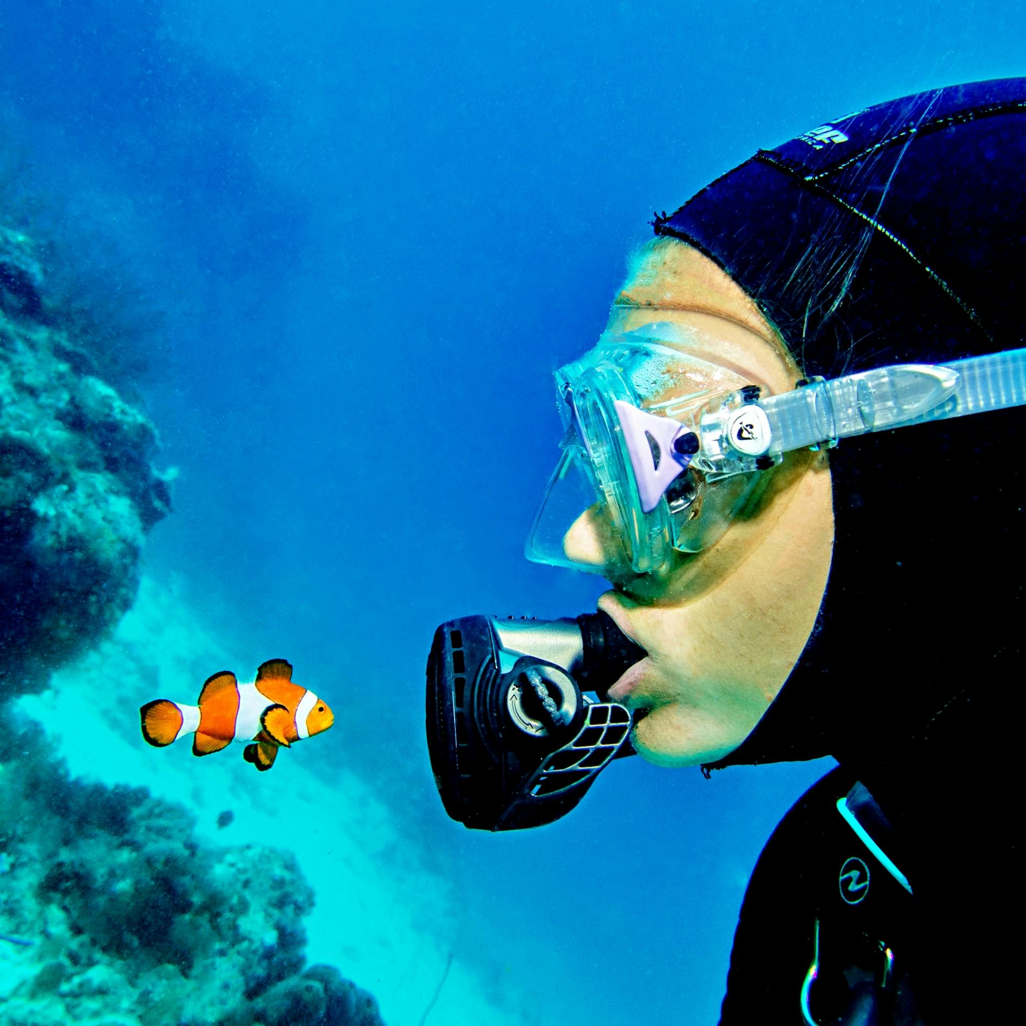 Intro diving for beginners and Red Sea cruise in Sharm El Sheikh