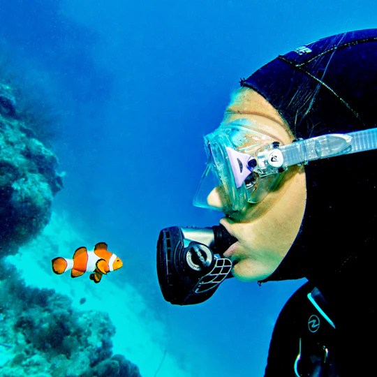 Intro diving for beginners and Red Sea cruise in Sharm El Sheikh