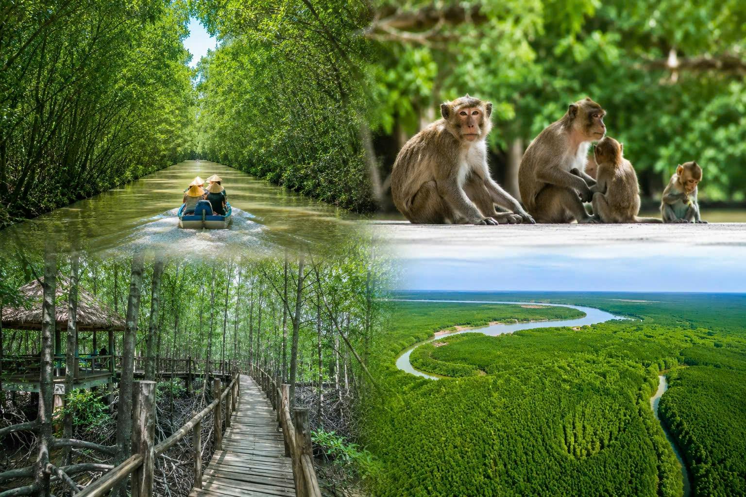Can Gio mangrove forest and Monkey Island private tour