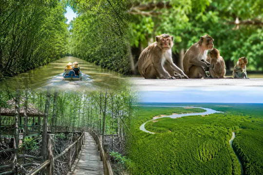 Tour privato della foresta di mangrovie di Can Gio e dell’Isola delle Scimmie