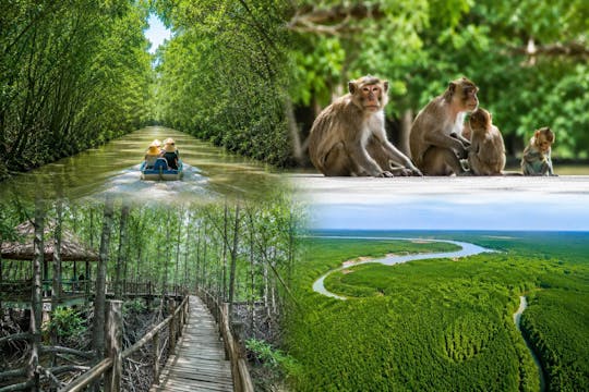 Can Gio mangrove forest and Monkey Island private tour