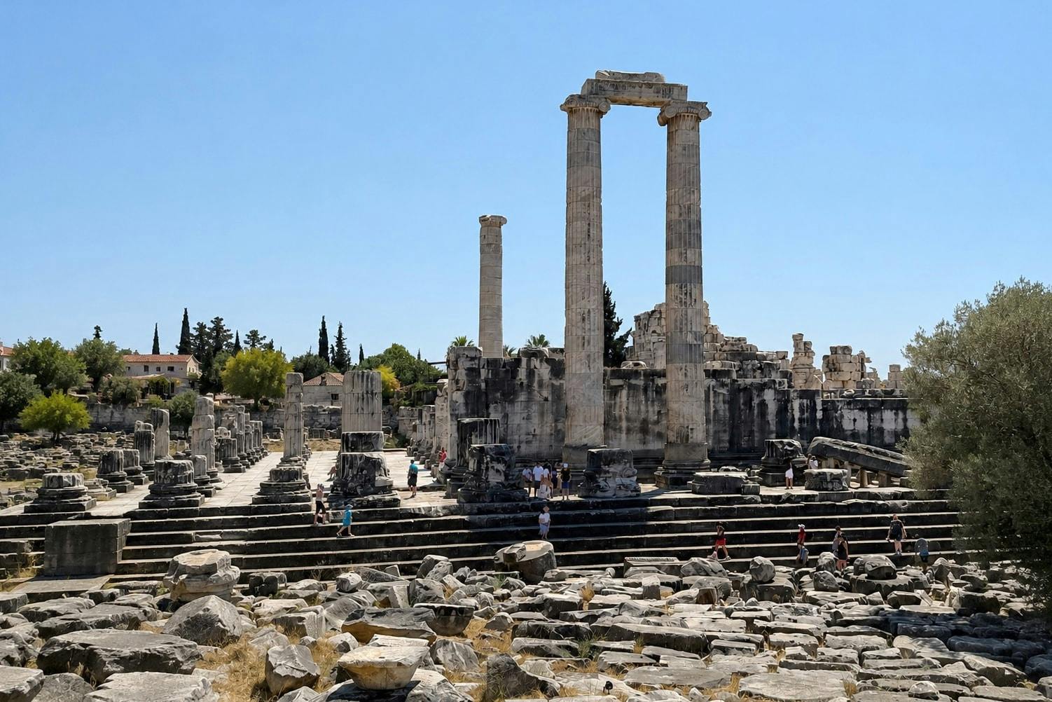 Half-day Miletos tour and Temple of Apollo visit