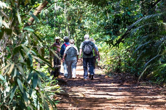 Excursion de deux jours dans la forêt tropicale du Sri Lanka au Sinharaja Eco Lodge