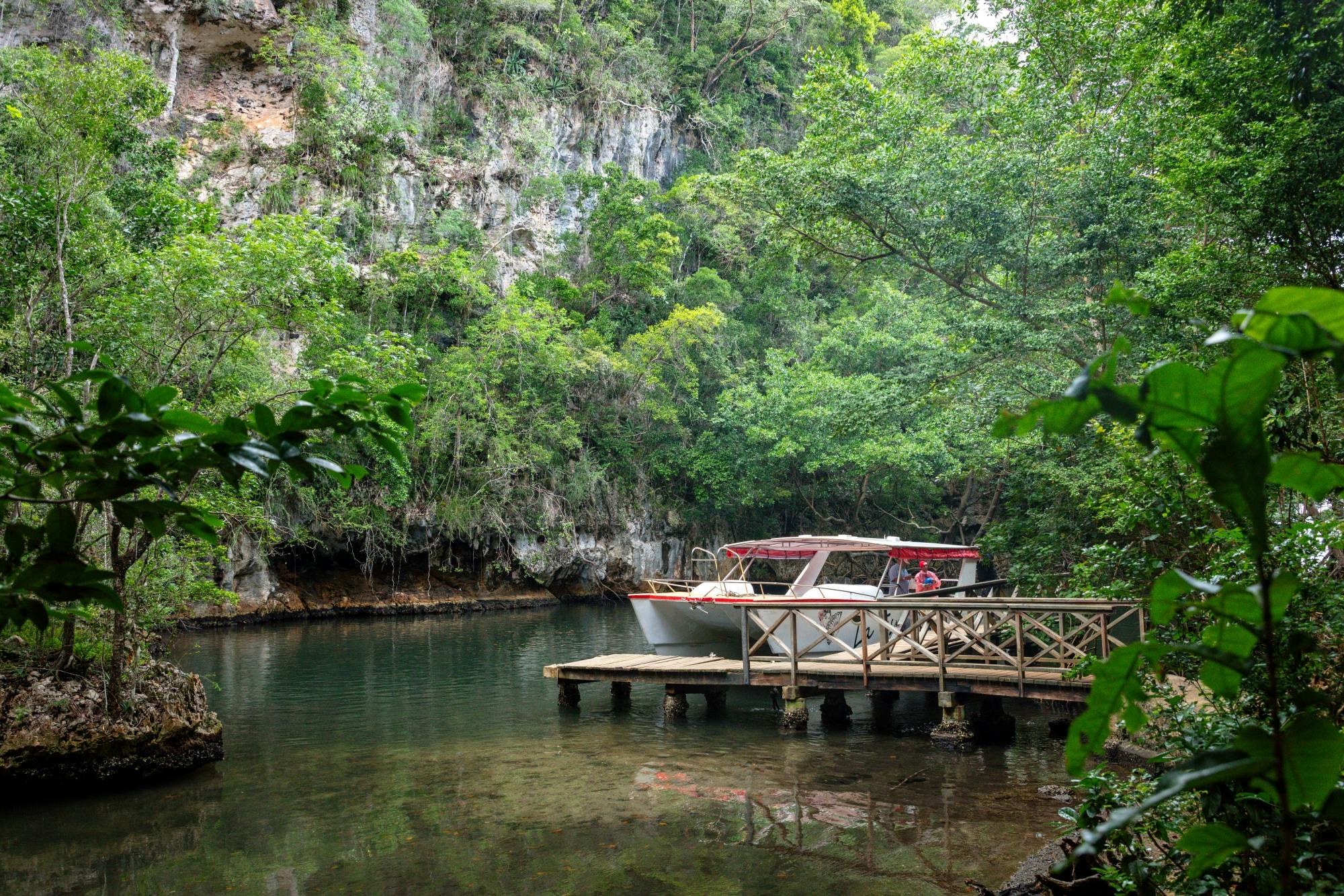 Los Haitises National Park full-day tour with beachside lunch