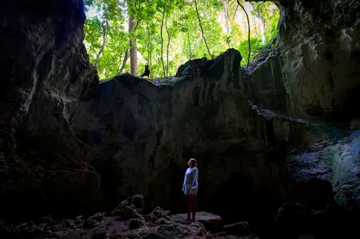 Los Haitises National Park full-day tour with beachside lunch
