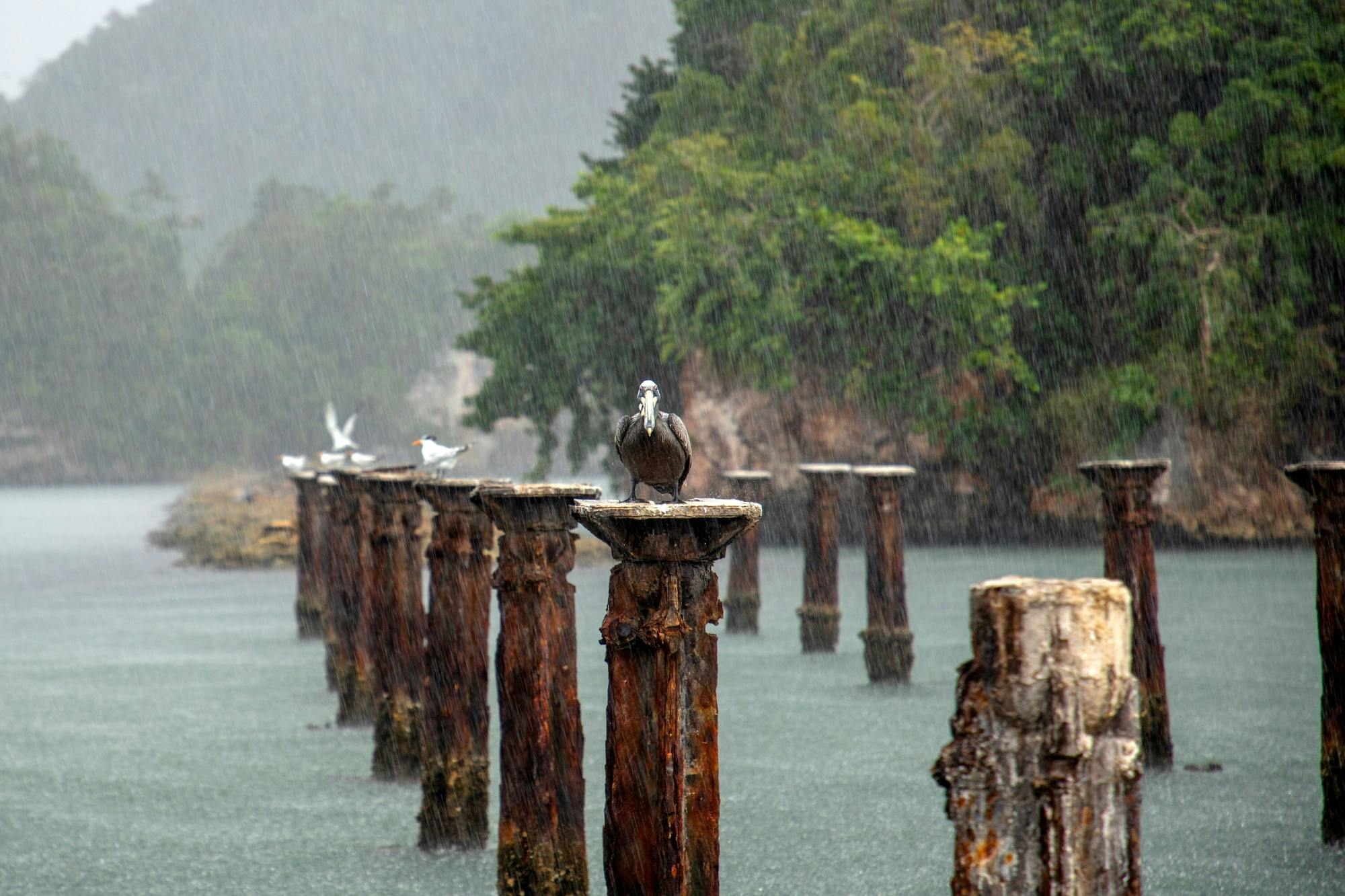 Los Haitises National Park full-day tour with beachside lunch