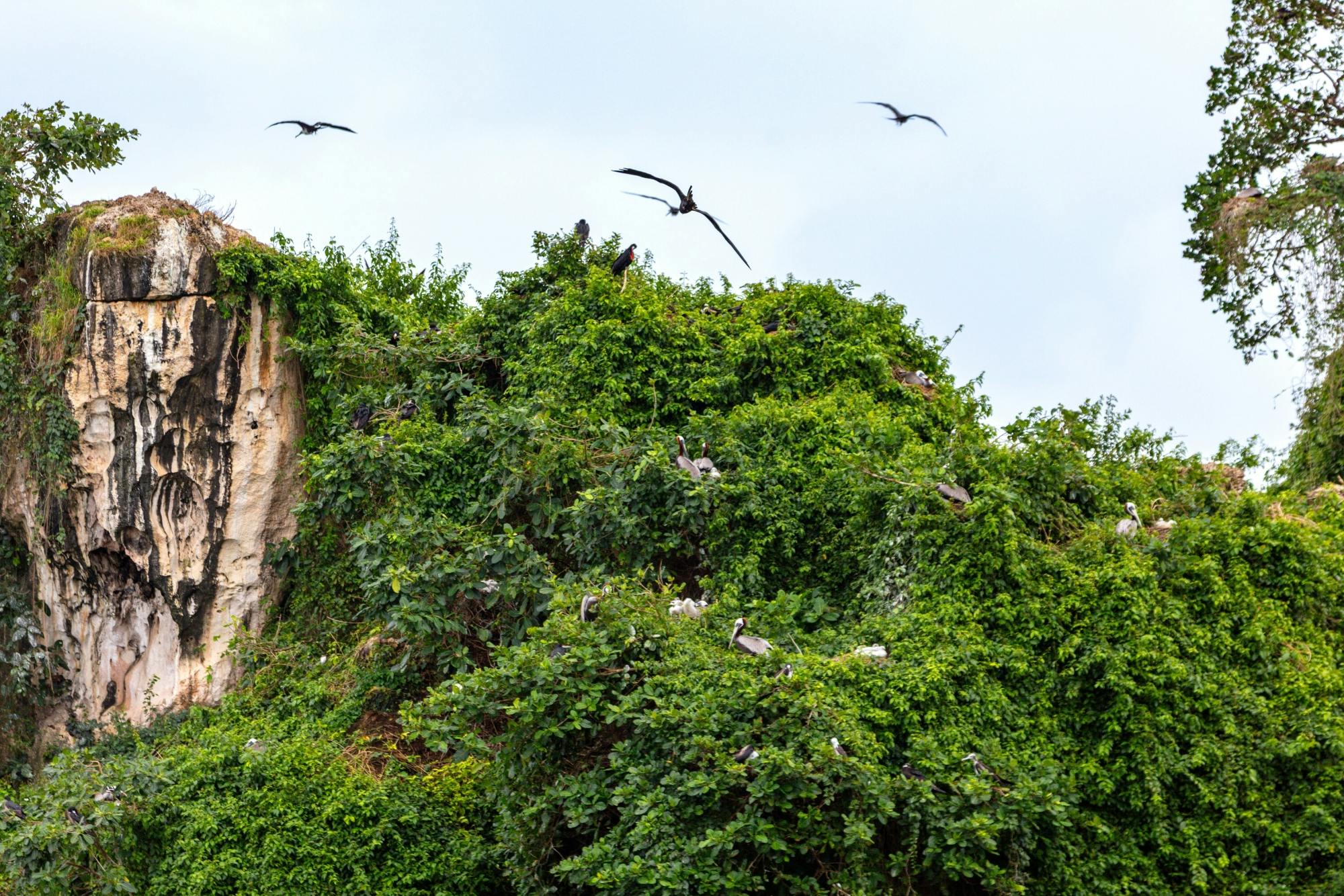 Los Haitises National Park full-day tour with beachside lunch
