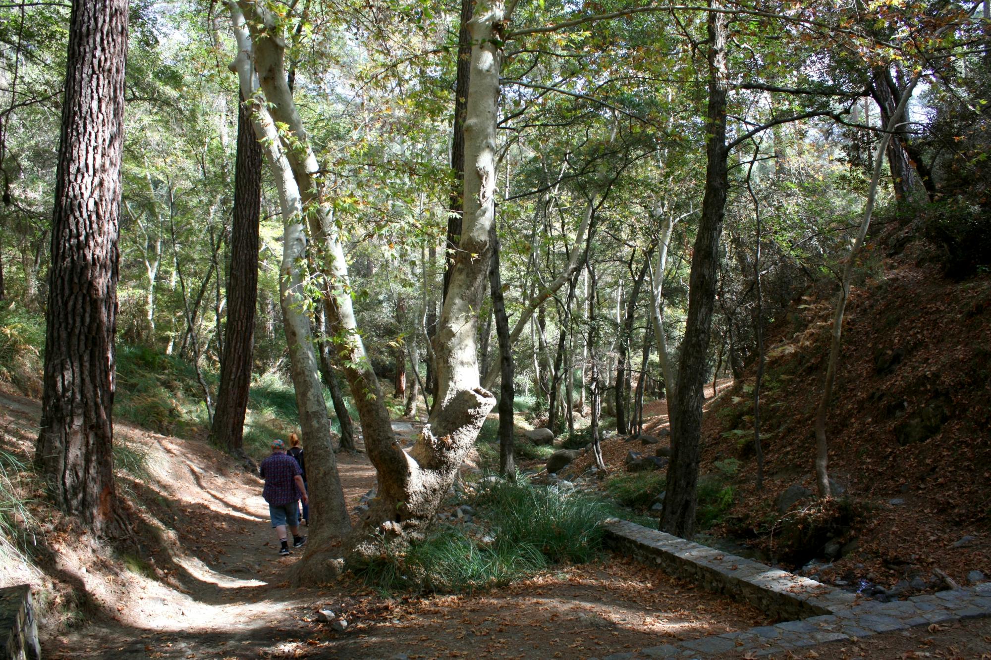 Troodos Mountains 4x4 tour with meze lunch