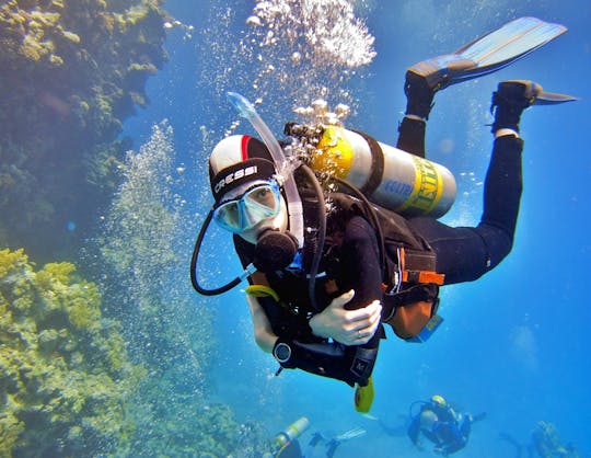 Duikervaringen en cursussen in Marsa Alam