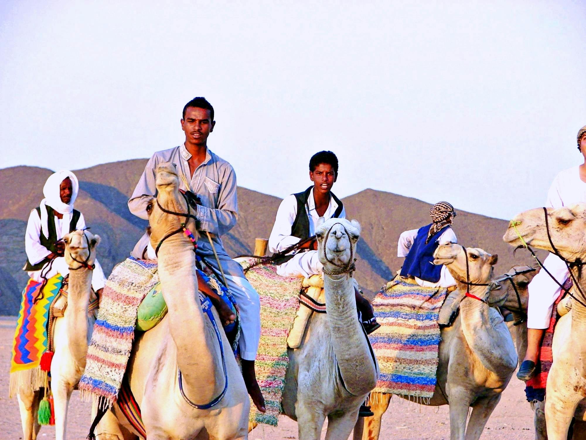 Quad-ervaring met kameelrit in de woestijn van Marsa Alam