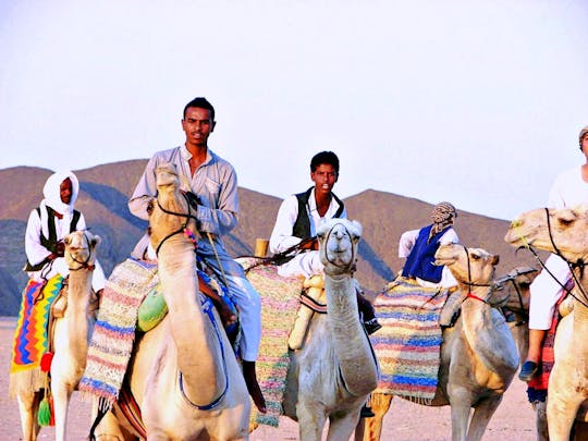 Quad-ervaring met kameelrit in de woestijn van Marsa Alam
