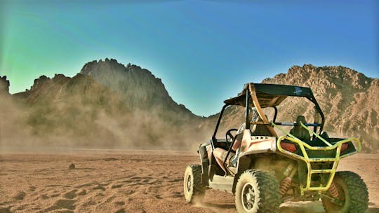 Ritje in een buggy bij zonsondergang, met barbecue en kameelrit in Marsa Alam