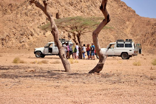 Súper safari en 4x4 más quad y paseo en camello en Marsa Alam