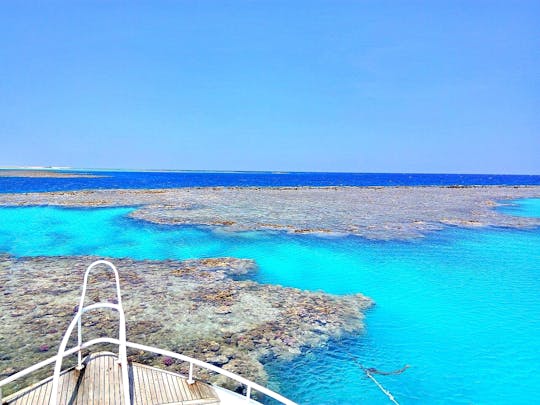 Crucero de buceo con esnórquel a Hamata desde Marsa Alam, con almuerzo y bebidas incluidas