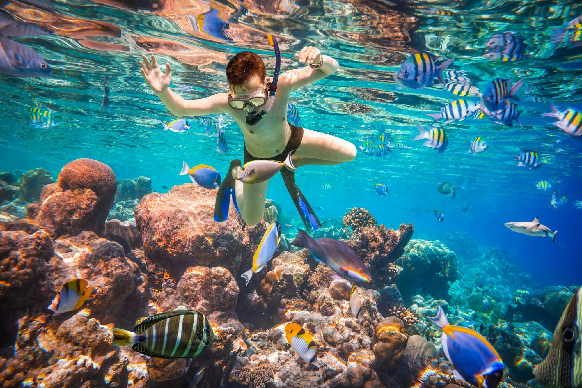 Port Ghalib Snorkeling Cruise from Marsa Alam with Lunch and Drinks
