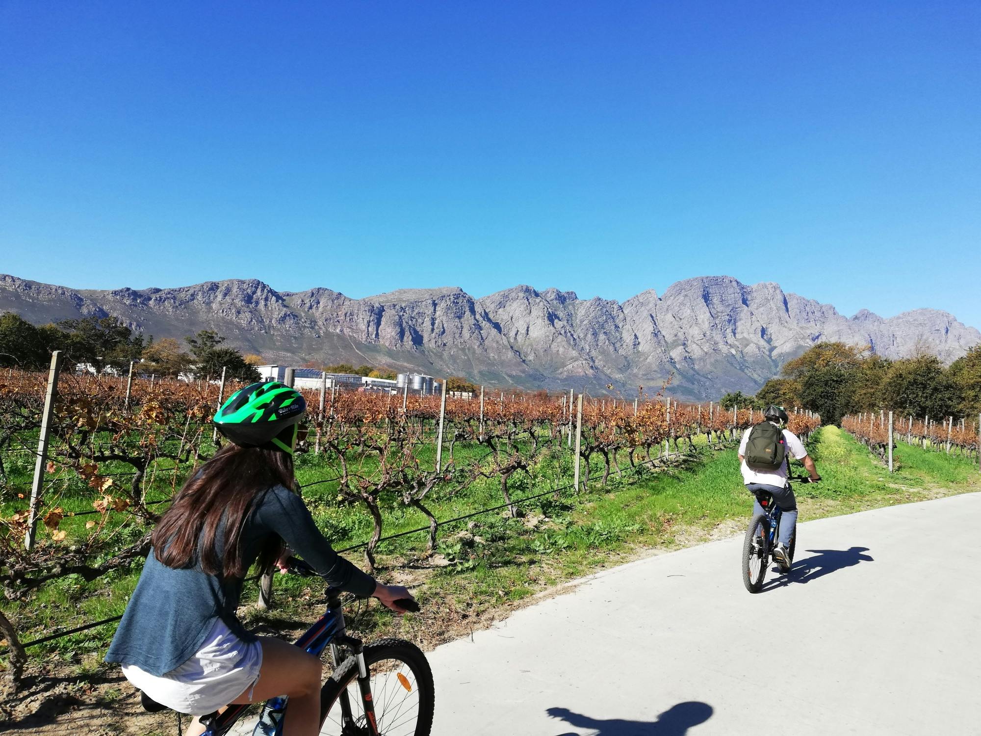 Franschhoek Winelands 7 hour Private E-Bike Tour with Lunch