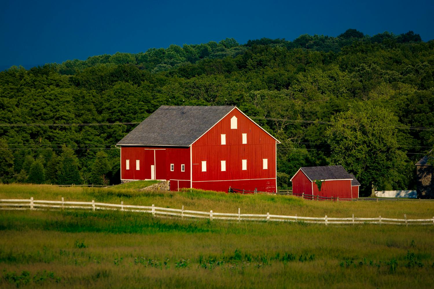 202609016a96d3748f8c7.png