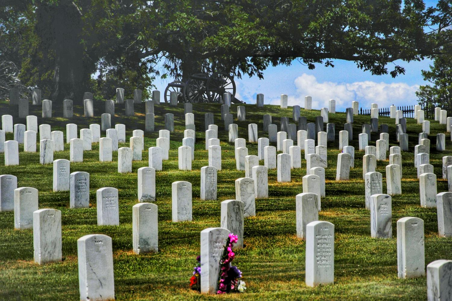 202609016a96d374acf72.png