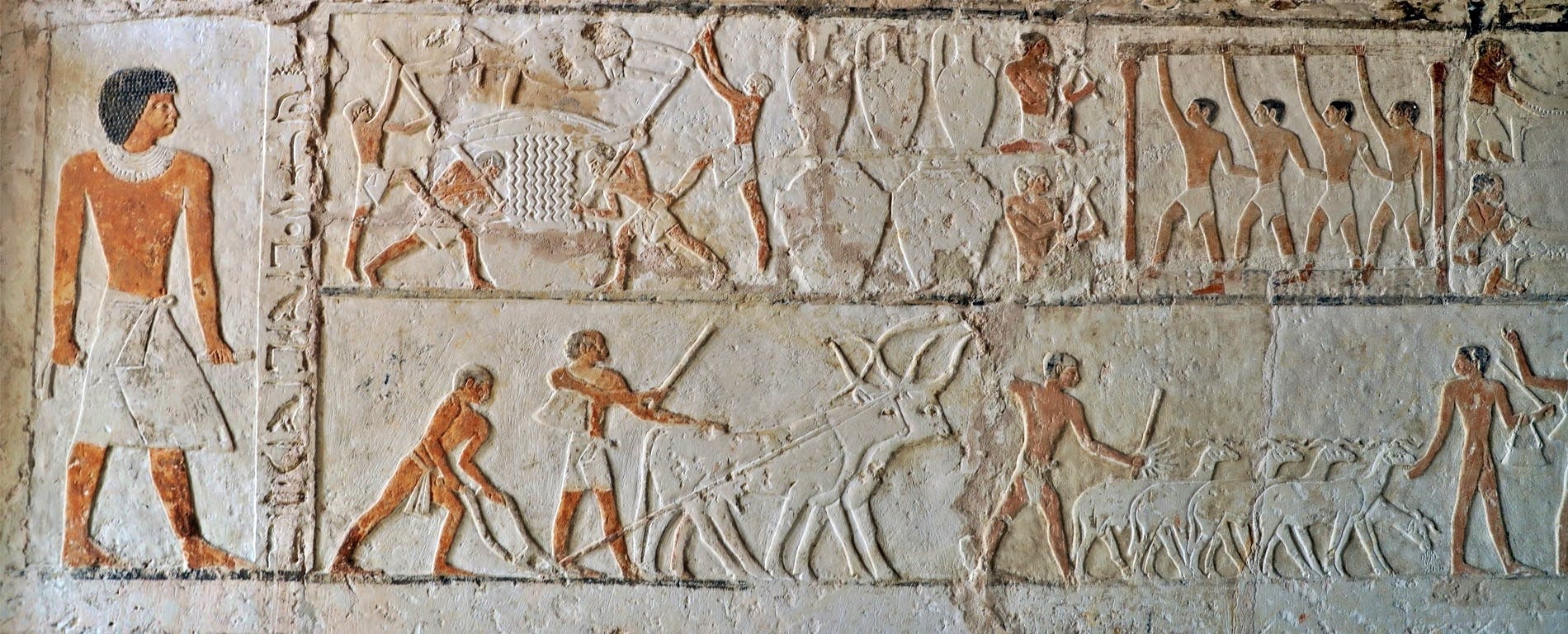 202609036a99429648c01.jpg